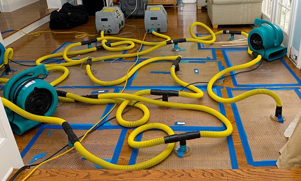 Professional Water Extraction technician working in Richland, TX